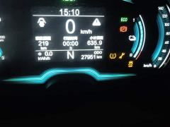 Chery Ant 251km True Love Edition LFP Battery - фото 13