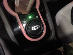 Chery Ant 251km True Love Edition LFP Battery - фото 15