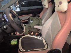 Chery Ant 251km True Love Edition LFP Battery - фото 16