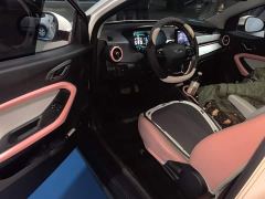 Chery Ant 251km True Love Edition LFP Battery - фото 17