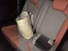 Chery Ant 251km True Love Edition LFP Battery - фото 18