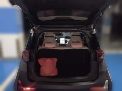 Chery Ant 251km True Love Edition LFP Battery - фото 20