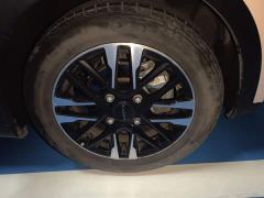 Chery Ant 251km True Love Edition LFP Battery - фото 8