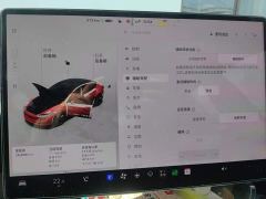 Tesla Model 3 Long Range All-Wheel Drive - ფოტო 20