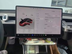 Tesla Model 3 Long Range All-Wheel Drive - ფოტო 7