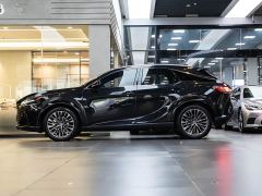 Lexus RX New Energy 450h AWD Comfort Edition - photo 4