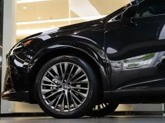 Lexus RX New Energy 450h AWD Comfort Edition - photo 8