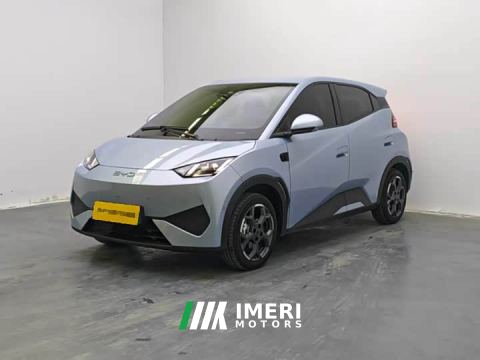 2025 BYD Seagull Smart Driving Edition 305km Freedom Edition - ავტომობილი ჩინეთიდან