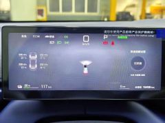 BYD Seagull Smart Driving Edition 305km Freedom Edition - фото 15