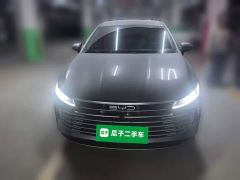 BYD Destroyer 05 Champion Edition DM-i 55KM Luxury - фото 2