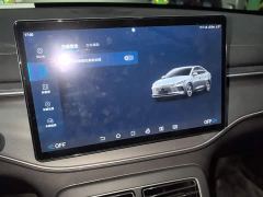 BYD Destroyer 05 Champion Edition DM-i 55KM Luxury - фото 20