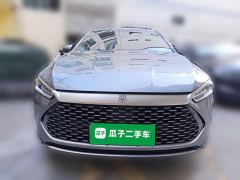 BYD Qin PLUS Glory Edition DM-i 55KM Leading - фото 2