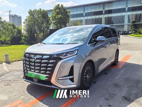 2023 Denza D9 DM-i 1040 Premium - ავტომობილი ჩინეთიდან