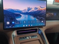 Denza N8L Premium Edition - ფოტო 7