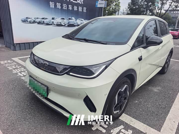 BYD Dolphin Smart Drive 420km Freedom Edition - ავტომობილი ჩინეთიდან