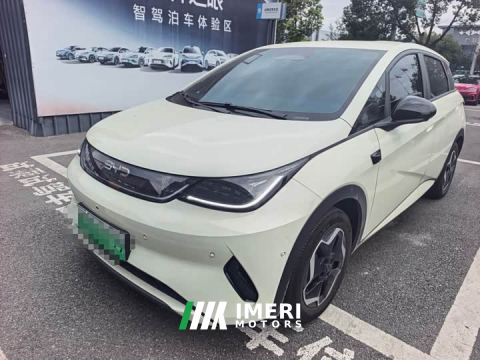 2026 BYD Dolphin Smart Drive 420km Freedom Edition - car from China