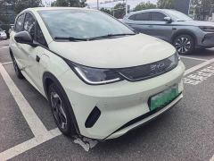 BYD Dolphin Smart Drive 420km Freedom Edition - ფოტო 3