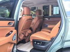 Great Wall WEY Blue Mountain Four-Wheel Drive Max - фото 9