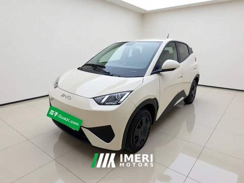 2025 BYD Seagull Smart Drive 305km Vitality Edition - автомобиль из Китая