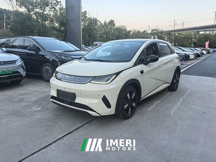 BYD Dolphin Smart Drive 410km Fashion Edition - автомобиль из Китая