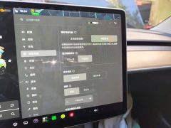 Tesla Model 3 Standard Range RWD Upgrade - фото 20