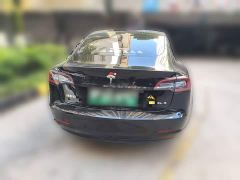 Tesla Model 3 Standard Range RWD Upgrade - фото 3