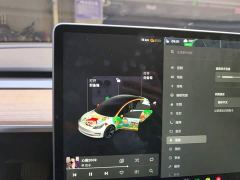 Tesla Model 3 Standard Range RWD Upgrade - фото 7
