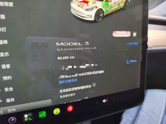 Tesla Model 3 Standard Range RWD Upgrade - фото 8