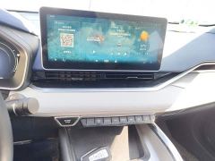 Geely Xingrui 2.0T Diesel Premium Edition - ფოტო 14