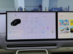 Li Auto i8 Standard Edition - ფოტო 13