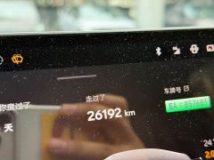 Nio Lerado L60 60kWh Rear-Wheel Drive - ფოტო 11