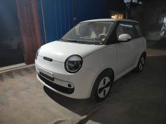 Changan Lumin Treasure Edition 205km Cool Love White CATL - photo 1