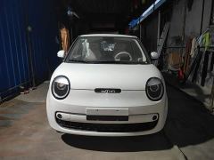 Changan Lumin Treasure Edition 205km Cool Love White CATL - photo 2