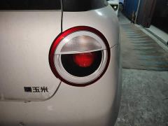Changan Lumin Treasure Edition 205km Cool Love White CATL - photo 7