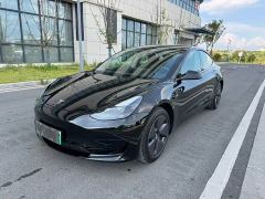 Tesla Model 3 Rear-Wheel Drive - фото 1
