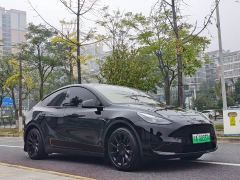Tesla Model Y Rear-Wheel Drive - ფოტო 3