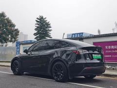 Tesla Model Y Rear-Wheel Drive - ფოტო 9