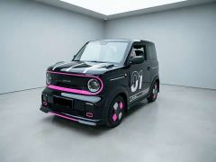 Geely Panda 210km Panda Kart - ფოტო 1