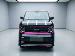Geely Panda 210km Panda Kart - ფოტო 2