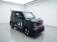 Geely Panda 210km Panda Kart - ფოტო 3