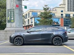 Tesla Model Y Rear-Wheel Drive - ფოტო 4