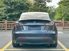 Tesla Model Y Rear-Wheel Drive - ფოტო 6