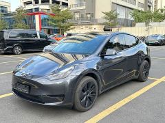 Tesla Model Y Rear-Wheel Drive - ფოტო 8