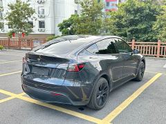 Tesla Model Y Rear-Wheel Drive - ფოტო 9