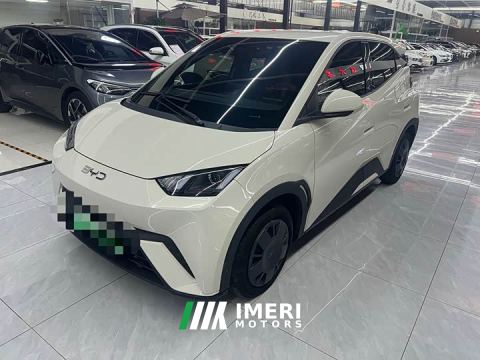 2025 BYD Seagull 305km Vitality Edition - автомобиль из Китая