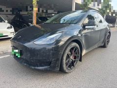 Tesla Model Y Rear-Wheel Drive - ფოტო 1