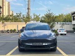 Tesla Model Y Rear-Wheel Drive - ფოტო 2