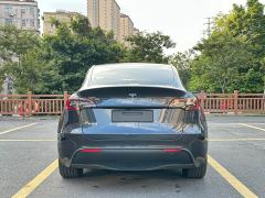 Tesla Model Y Rear-Wheel Drive - ფოტო 5