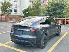 Tesla Model Y Rear-Wheel Drive - ფოტო 9