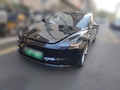 Tesla Model 3 Rear-Wheel Drive - photo 1